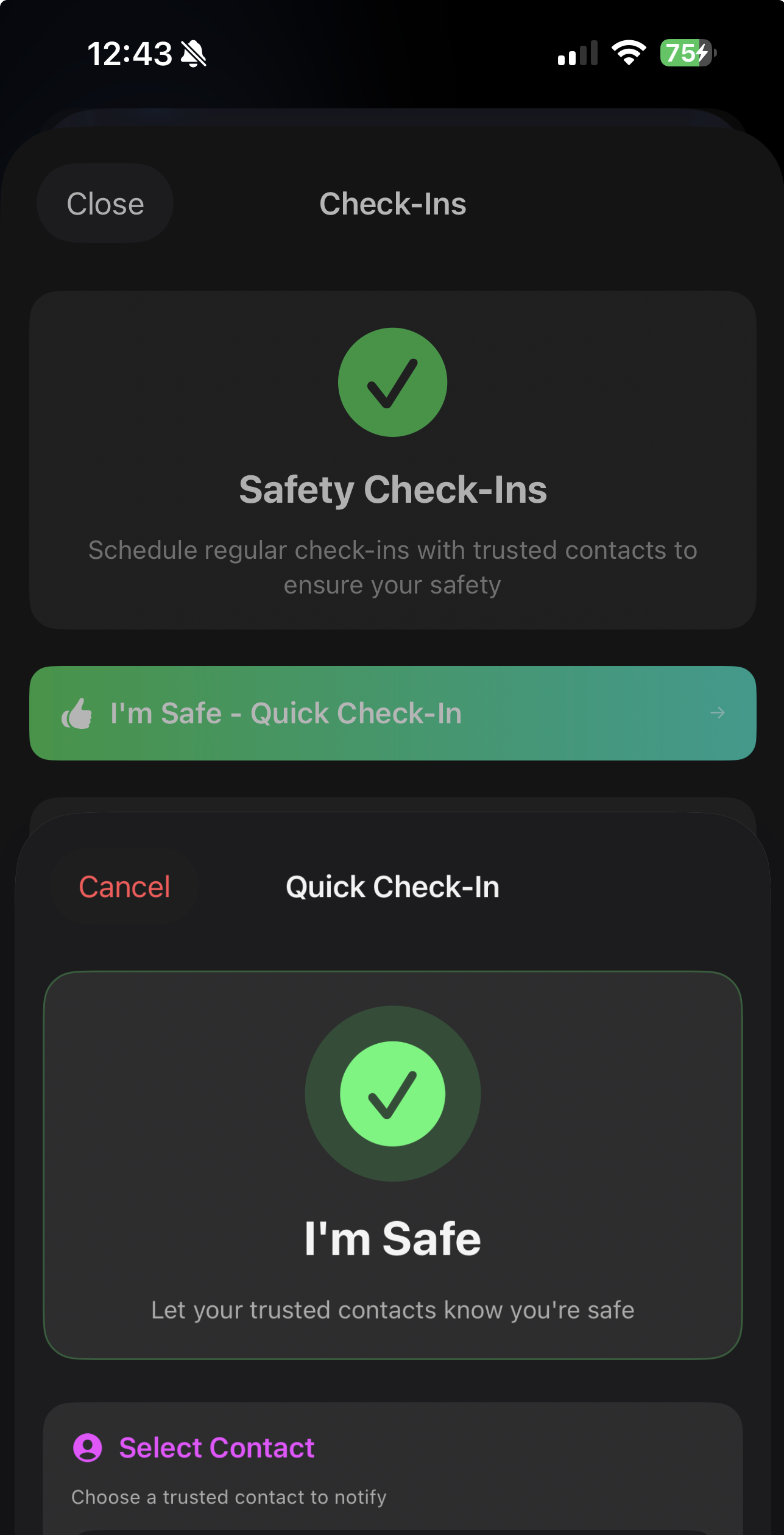 Safety Check-Ins Screenshot